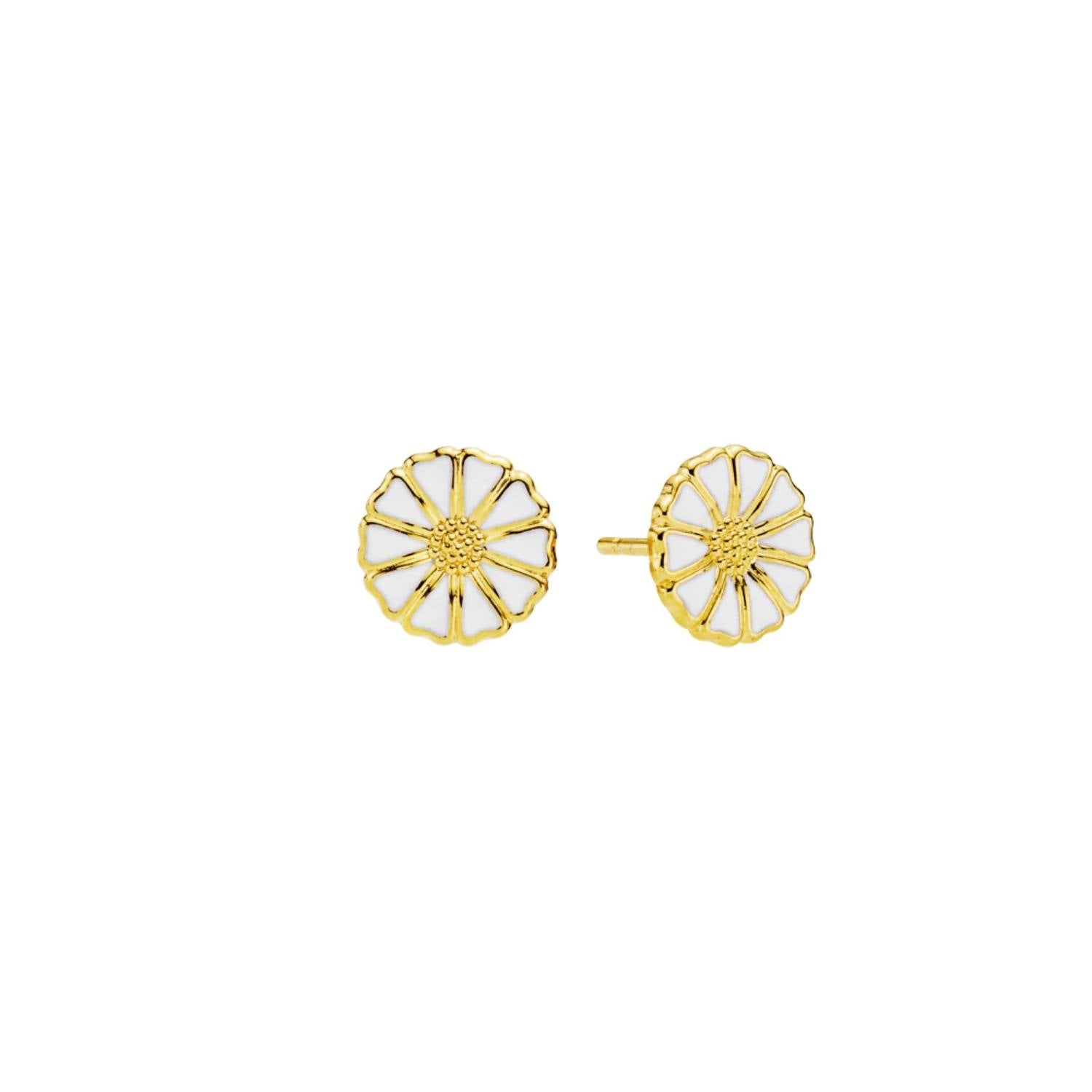 DETAIL247817